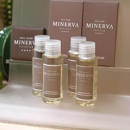 Minerva Hotel
