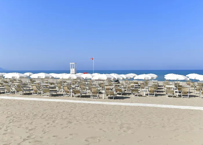 米纳瓦度假酒店 酒店 4*